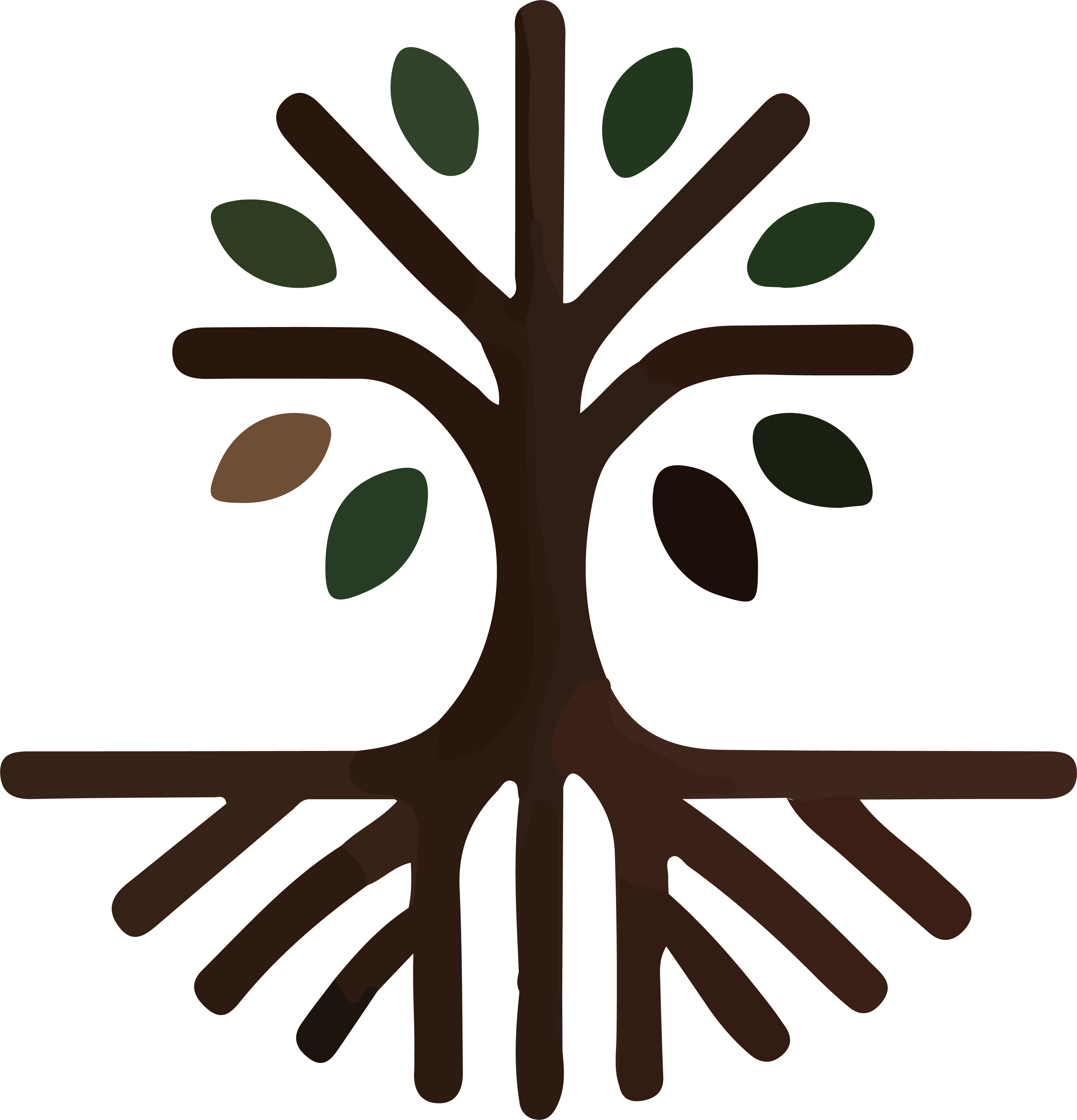 Logo Nos Racines